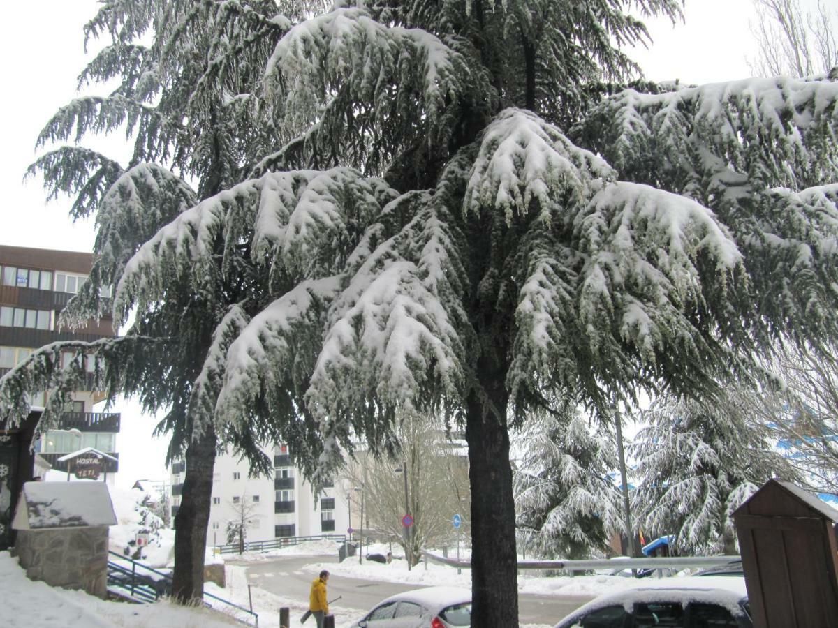 Studio Sueno Nevado Deluxe Ecomomic Sierra Nevada Zewnętrze zdjęcie